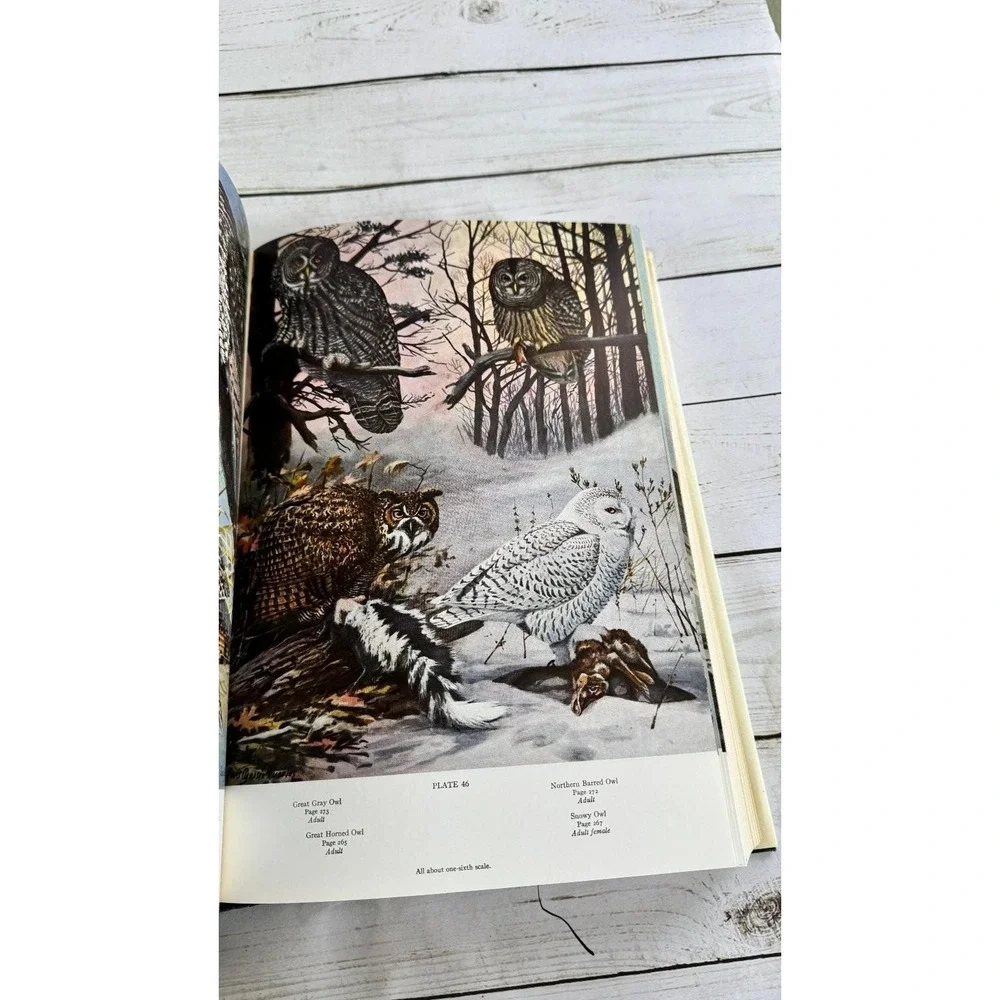 American Birds Forbush & May Bramhall House Illustrated Natural History